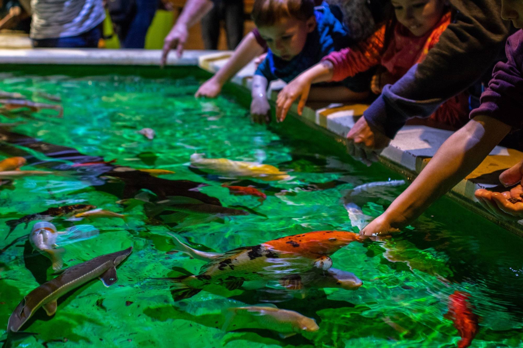 🐠 Hurghada Grand Aquarium Tour from Makadi - image 6