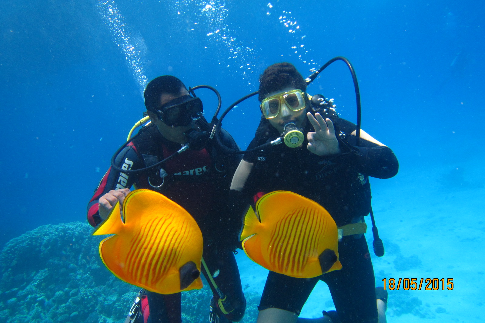 🐠 Hurghada Diving Tour – Discover the Beauty of the Red Sea - image 6