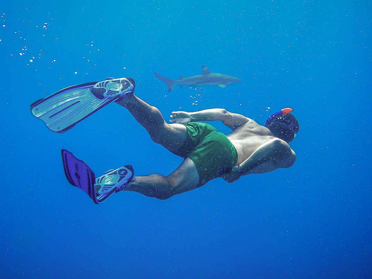 🐬 Boat trip to Dolphin House From Sahl Hasheesh  - image 6