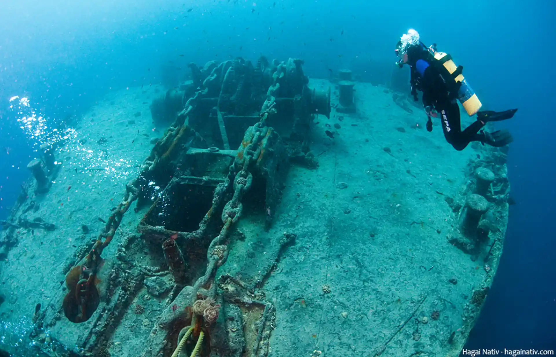 🤿 Certified Diving in the Fantastic Red Sea - image 4