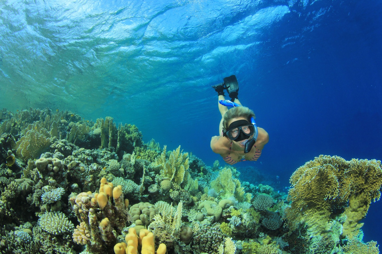 Excursion "Colors of Sinai" from Dahab - image 3