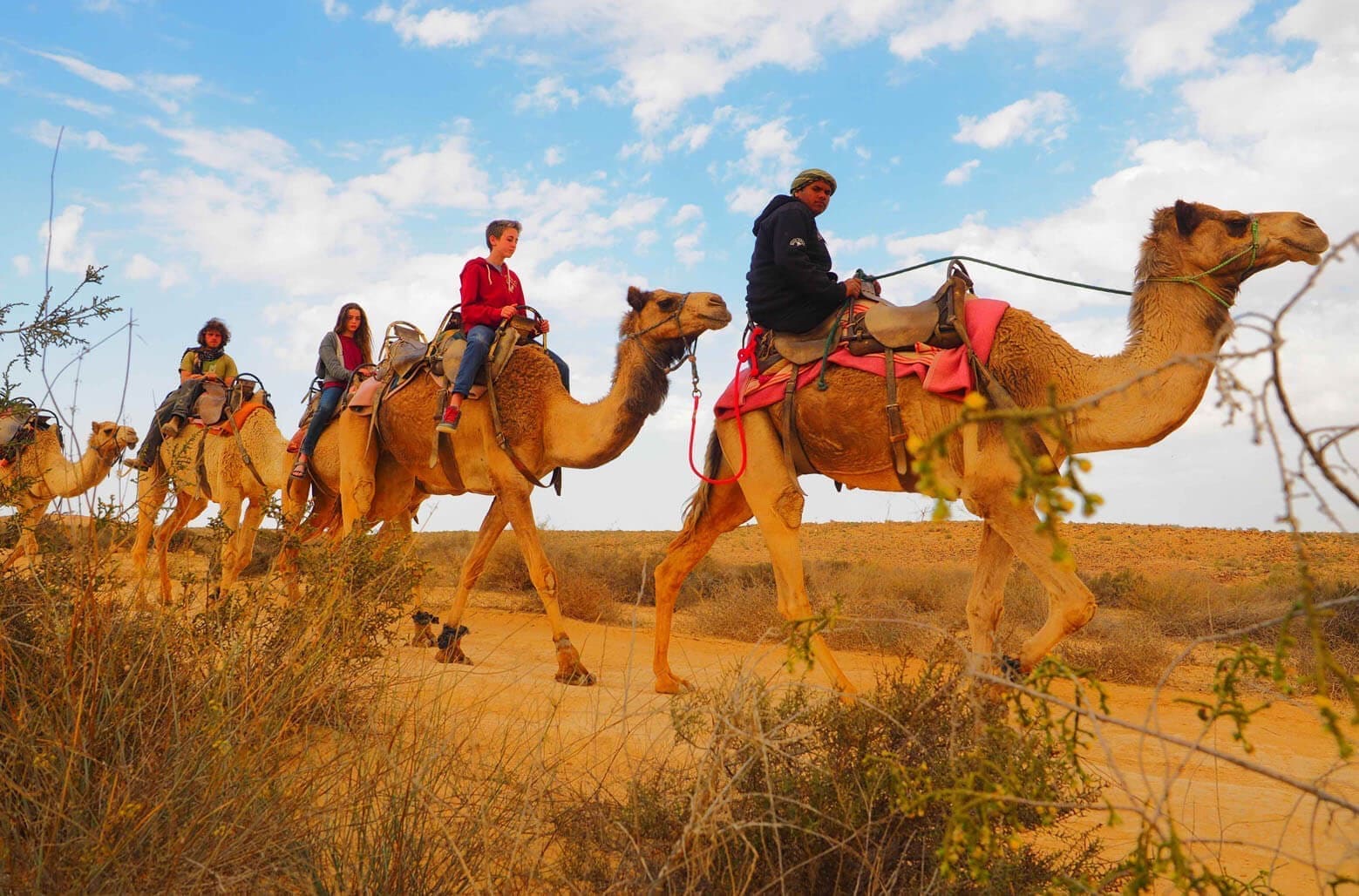 Excursion "Colors of Sinai" from Sharm el-Sheikh - image 6