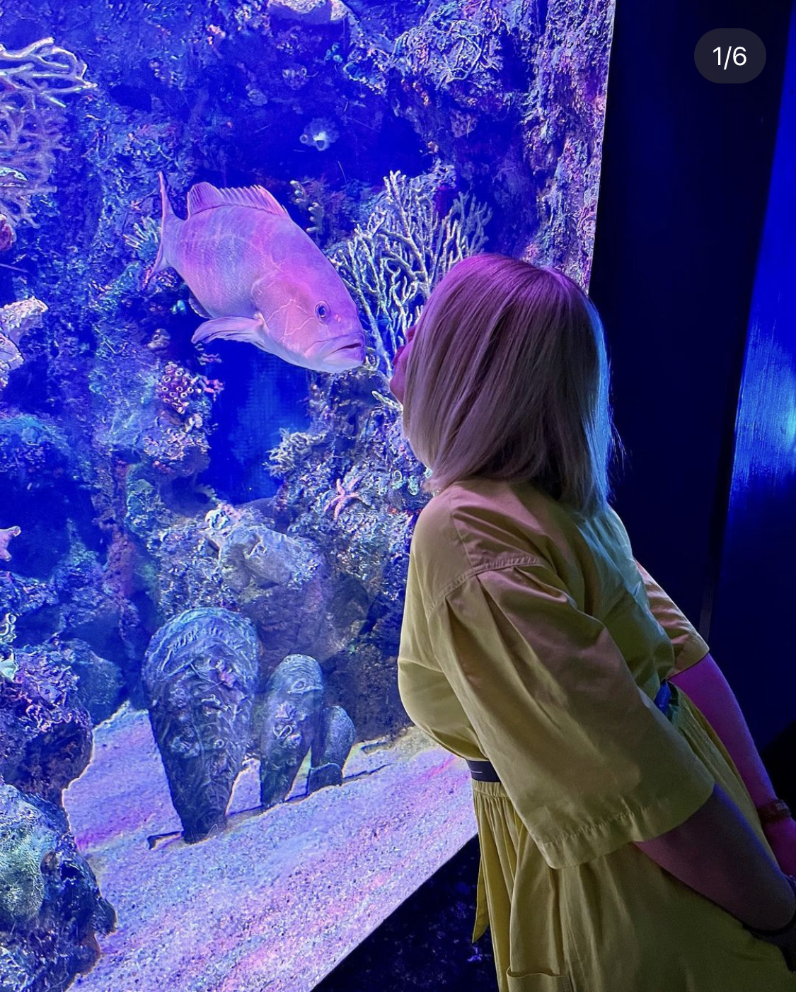 Antalya Aquarium with Entrance & Transfer - image 3