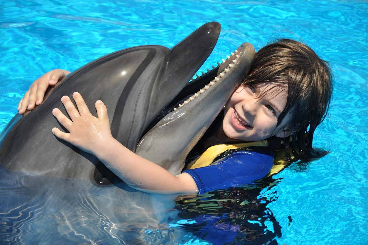 Kemer Swim With Dolphins with Transfer 