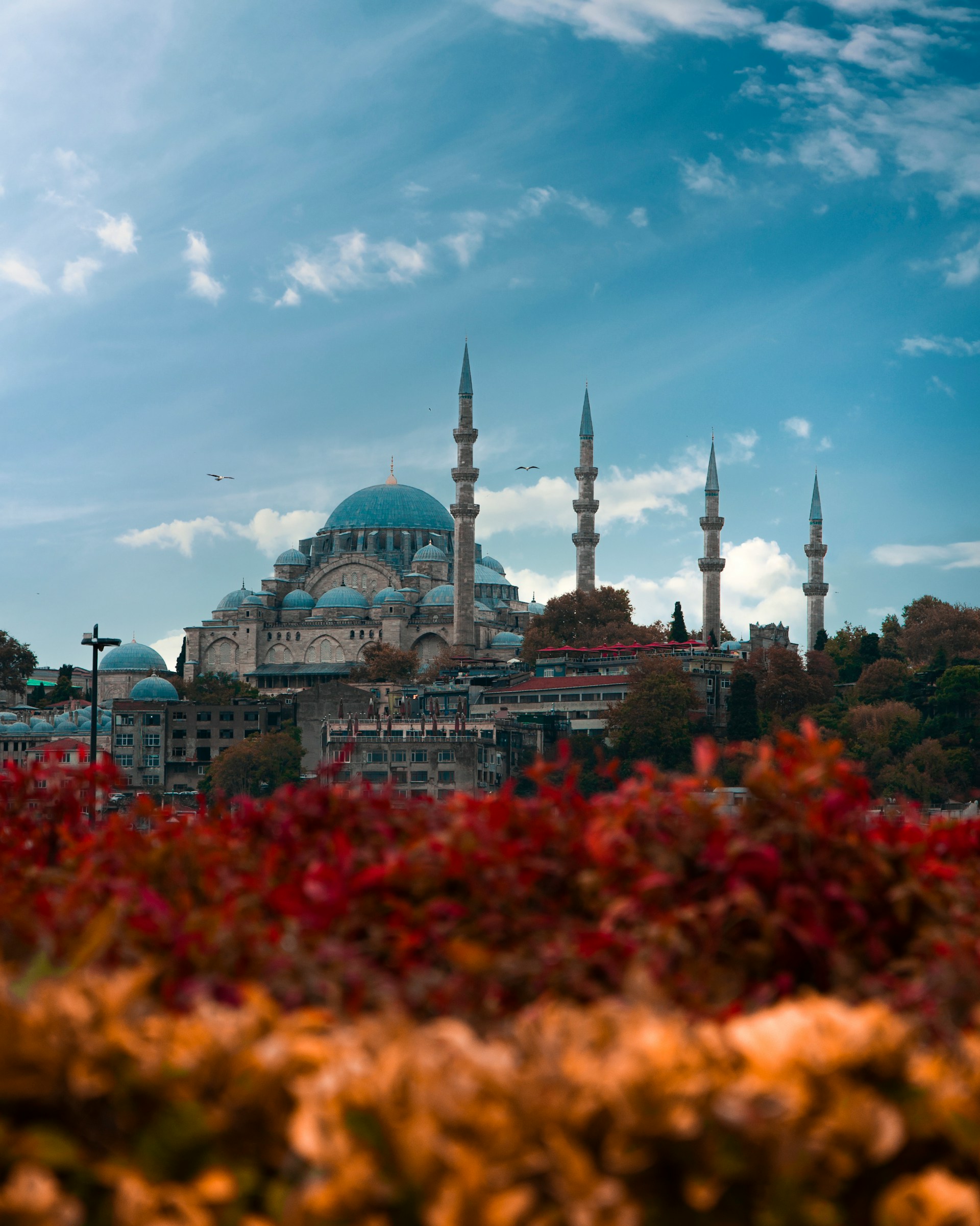 Istanbual