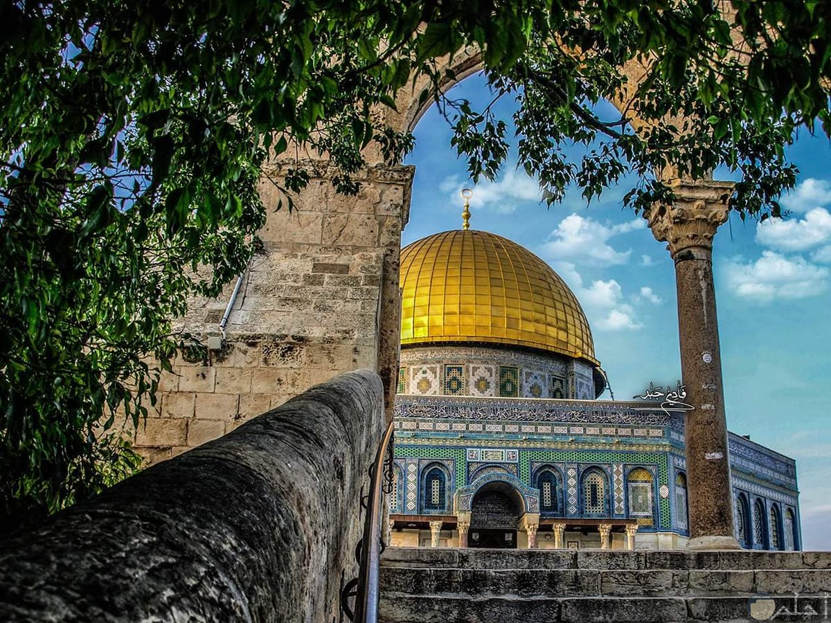 🏞️ Jerusalem and the Dead Sea Tour: A City Where History Meets Eternity