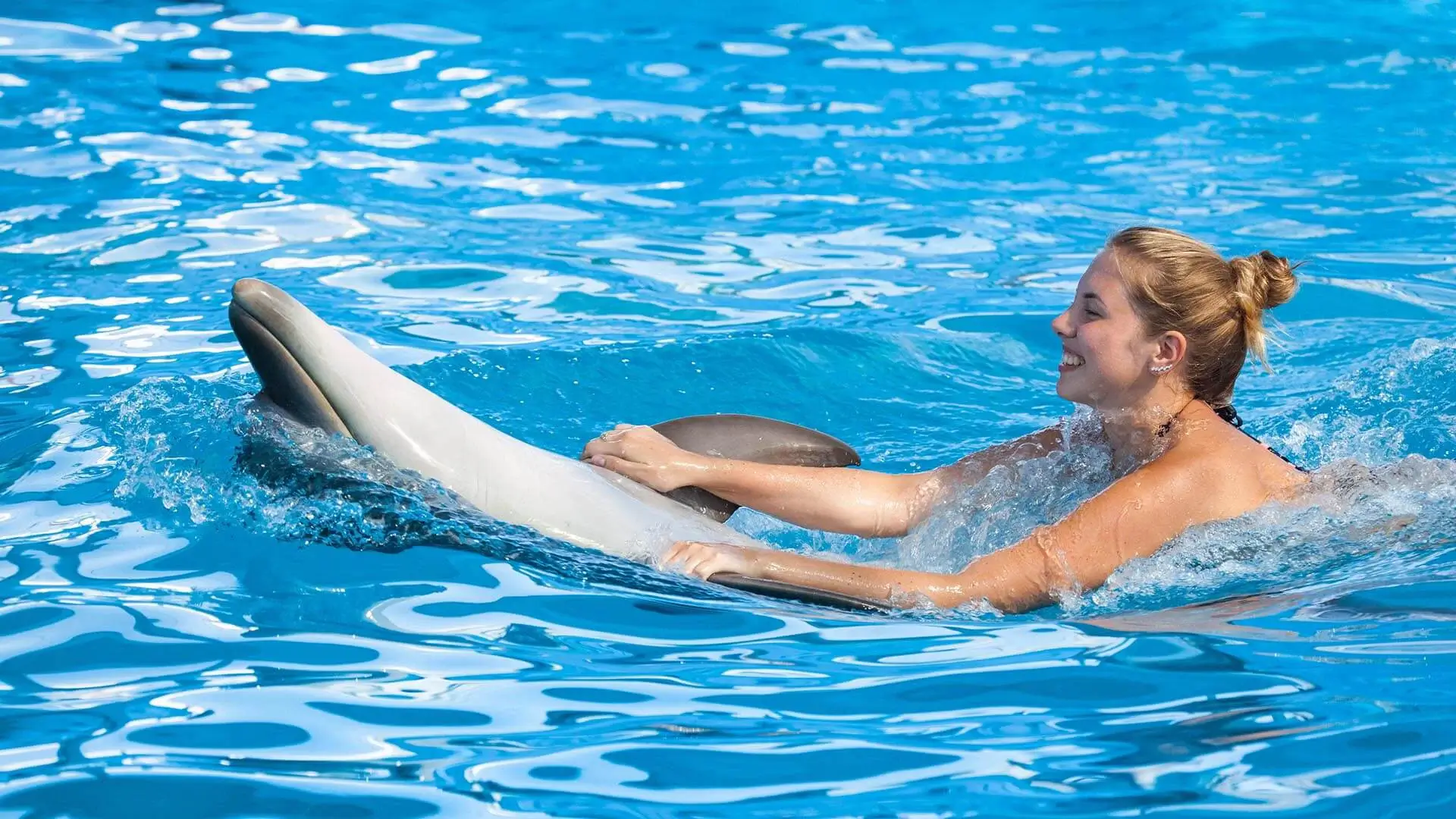 Belek Dolphin Show Tour - image 4
