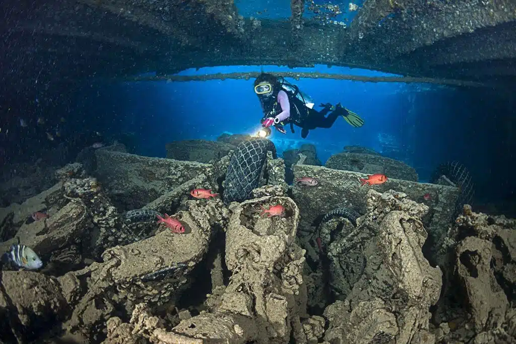 🤿 Certified Diving in the Fantastic Red Sea - image 6