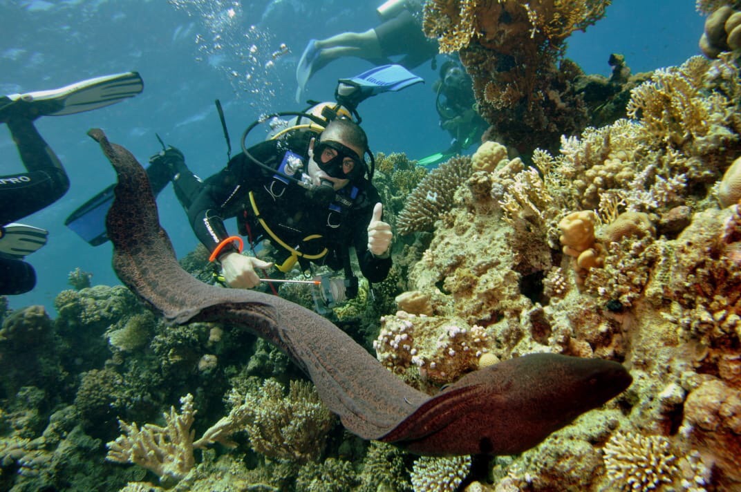 Shore Diving in Sharm El Sheikh