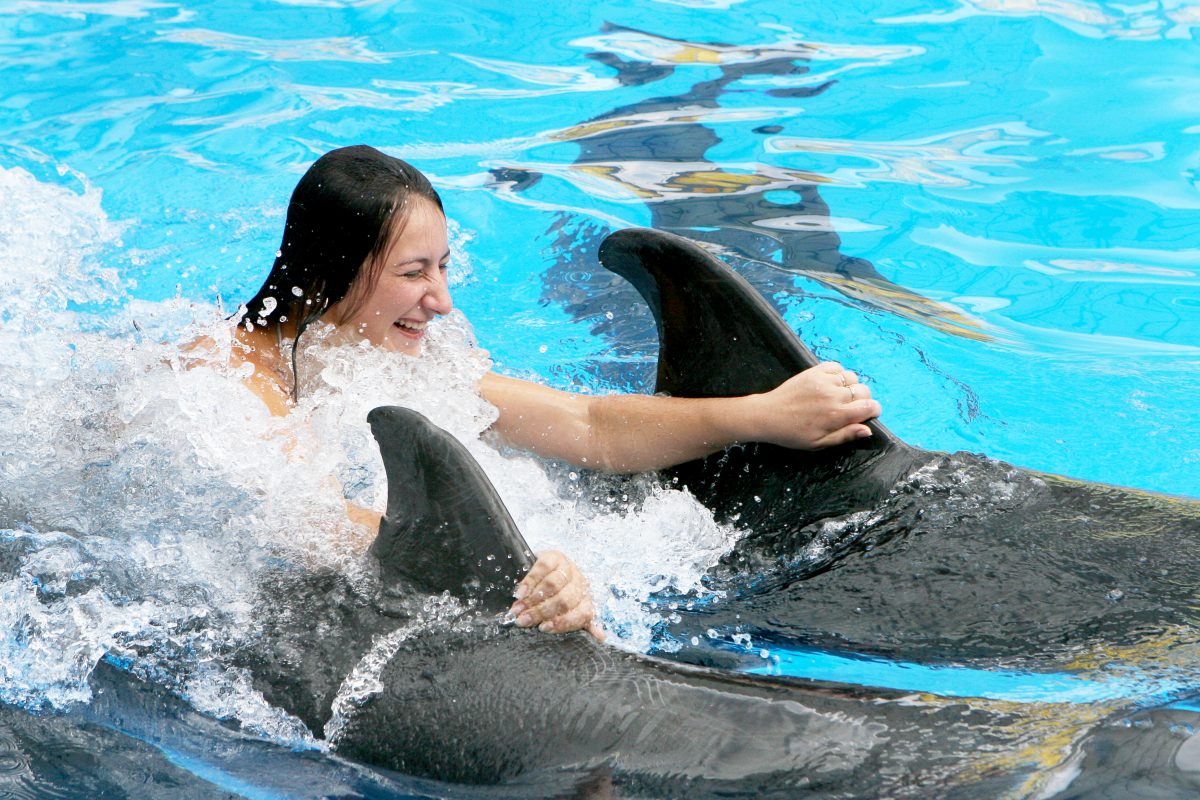 Kemer Swim With Dolphins with Transfer  - image 4