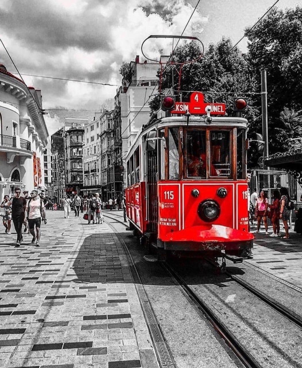 from Alanya: Istanbul Guided Tour including Domestic Flights - image 3